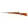 Image 2 : Ruger M77 .243 Win SN: 1483