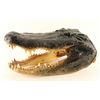 Image 2 : Large Alligator Head Mount