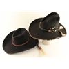 Image 1 : Lot of 2 Cowboy Hats