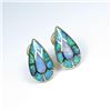 Image 2 : Fantastic Fine Australian Black Opal Earrings