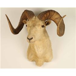 Dahl Ram