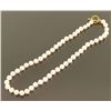 Stunning Ladies Pearl Necklace