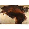 Image 1 : Brown Brindle Cowhide