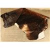Image 2 : Brown Brindle Cowhide