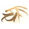 Image 1 : Antler Lot