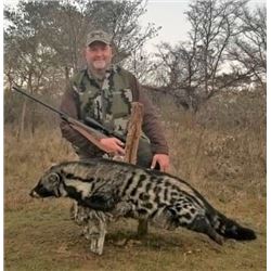 10 Day Civet Cat & Honey Badger Night Hunt for 1 Hunter - $10,500 / Exhibitor