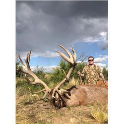 5 Day Hunt for 2 Hunters for 1 Red Stag and 1 Patagonic Ram - $9,100