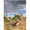 Image 1 : 5 Day Hunt for 2 Hunters for 1 Red Stag and 1 Patagonic Ram - $9,100