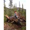 Image 1 : 6-Day Moose/Black Bear/Mule Deer/Whitetail/Wolf/Wolverine/Grouse Hunt for 1 - $9,500 / Exhibitor