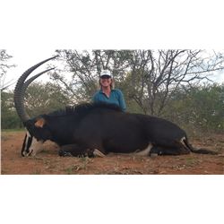 7 Day Sable Antelope Safari - $11,000/Exhibitor