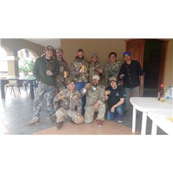 Argentina Eared Dove Hunt for 6 Hunters - $13,000
