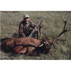 Argentina Free Range Red Stag for 1 Hunter - $7,000