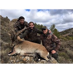 Beceite Ibex Management Hunt in Spain for 1 Hunter - $3,500