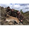 Image 1 : Beceite Ibex Management Hunt in Spain for 1 Hunter - $3,500