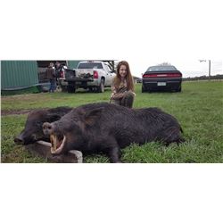 Fair Chase Wild Russian Boar Hunt - $5,000