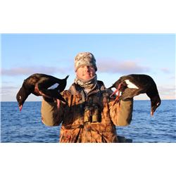 Kodiak Trophy Sea Duck (Guided) and Sitka Black-tailed Deer (Unguided) Combo Hunts for 1 Hunter - $4