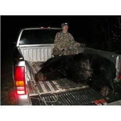 Minnesota Giant Black Bear Hunt - $4,990 / Exhibitor