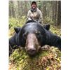 Image 7 : Minnesota Giant Black Bear Hunt - $4,990 / Exhibitor