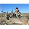 Image 2 : Multiple Species Deer Hunt in Old Mexico for 2 Hunters - $4,000
