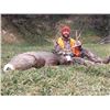 Image 1 : Nebraska Mule Deer or Whitetail Black Powder or Archery Hunt - $4,195