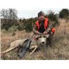 Image 6 : Nebraska Mule Deer or Whitetail Black Powder or Archery Hunt - $4,195