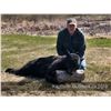 Image 2 : Ontario Black Bear for 1 Hunter - $1,500