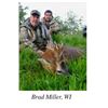 Image 2 : Scotland Spring Roe Buck Hunt on Prestigious and Exclusive Estates for Two Bucks with Airfare - Over