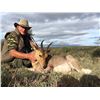 Image 4 : South African Vaal Rhebuck, Common Reed Buck and Mountain Reed Buck for 1 Hunter - $6,000