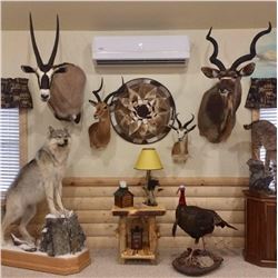 Taxidermy Credit - $2,000/Exhibitor
