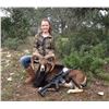 Image 2 : Whitetail and Exotics Combo Hunt - $7,500+