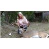 Image 4 : Whitetail and Exotics Combo Hunt - $7,500+