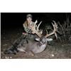 Image 9 : Whitetail and Exotics Combo Hunt - $7,500+