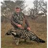 Image 1 : 10 Day Civet Cat & Honey Badger Night Hunt for 1 Hunter - $10,500 / Exhibitor