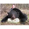 Image 1 : British Columbia Spring Black Bear for 2 Hunters - $5,000 / Exhibitor