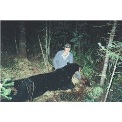 Minnesota Giant Black Bear Hunt - $4,990 / Exhibitor