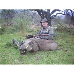 10 Day Plains Game Hunt for 2 Hunters - $13,000 / Exhibitor