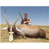 Image 1 : South Africa Nyala x 1, Blue Wildebeest x 1 and Blesbuck x 2 for 2 Hunters and 2 Observers - $34,800