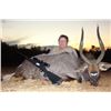 Image 2 : South Africa Nyala x 1, Blue Wildebeest x 1 and Blesbuck x 2 for 2 Hunters and 2 Observers - $34,800