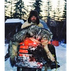 Alaska Yukon Moose for 1 - $22,500 / Exhibitor