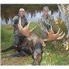 Image 2 : Alaska Yukon Moose for 1 - $22,500 / Exhibitor