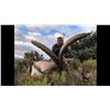 Image 3 : 4 Days/3 Night Beceite Ibex Hunt for 1 Hunter and 1 Non-Hunter or Hunt Credit - $12,350 / Exhibitor