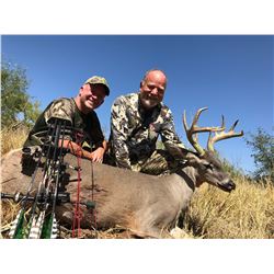 Archery Coues Deer and Javalina Hunt in Sonora, Mexico - $3,500