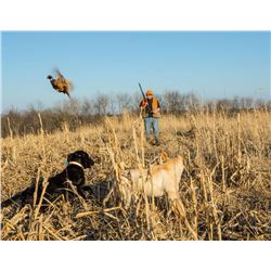 Wisconsin Pheasants & Chukar for 4 Hunters - $850