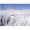 Image 2 : 4 Day Snowmobile trip in Colorado for up to 4 - $2,400 / EXHIBITOR