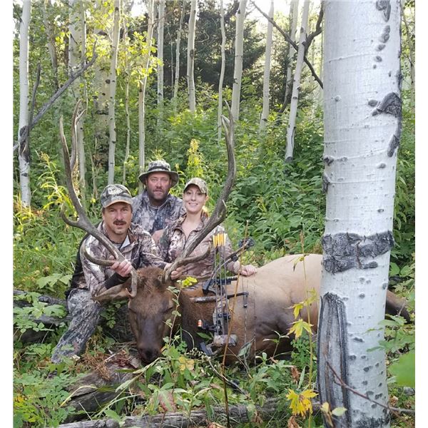 Colorado Archery Elk Hunt for 1 Hunter - $2,400 / EXHIBITOR