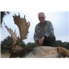 Image 5 : Spanish Red Deer, Fallow Deer, or Iberian Mouflon Sheep Hunt with Sightseeing for 1 - $4,100