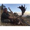 Image 6 : Spanish Red Deer, Fallow Deer, or Iberian Mouflon Sheep Hunt with Sightseeing for 1 - $4,100