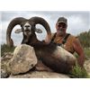Image 9 : Spanish Red Deer, Fallow Deer, or Iberian Mouflon Sheep Hunt with Sightseeing for 1 - $4,100