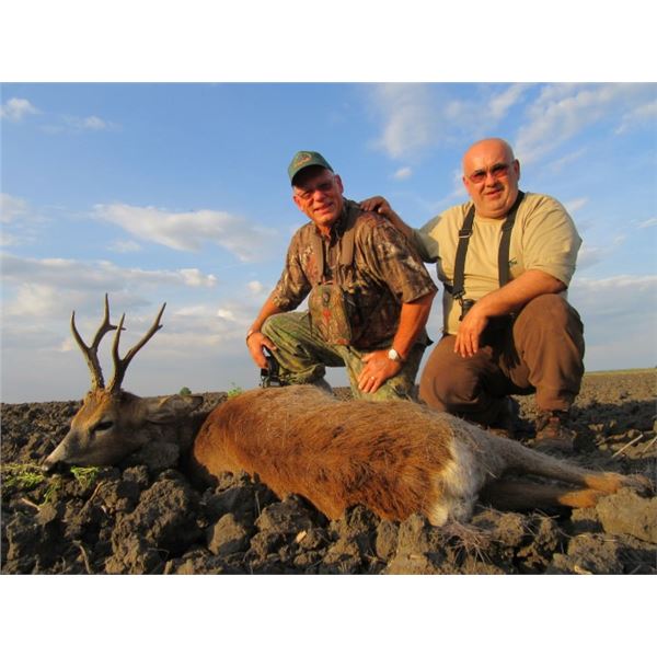Roe Deer in Serbia for 2 - $6,600