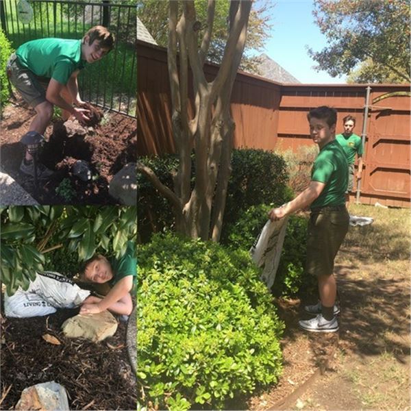 Boy Scout Yard Cleanup -$PRICELESS$